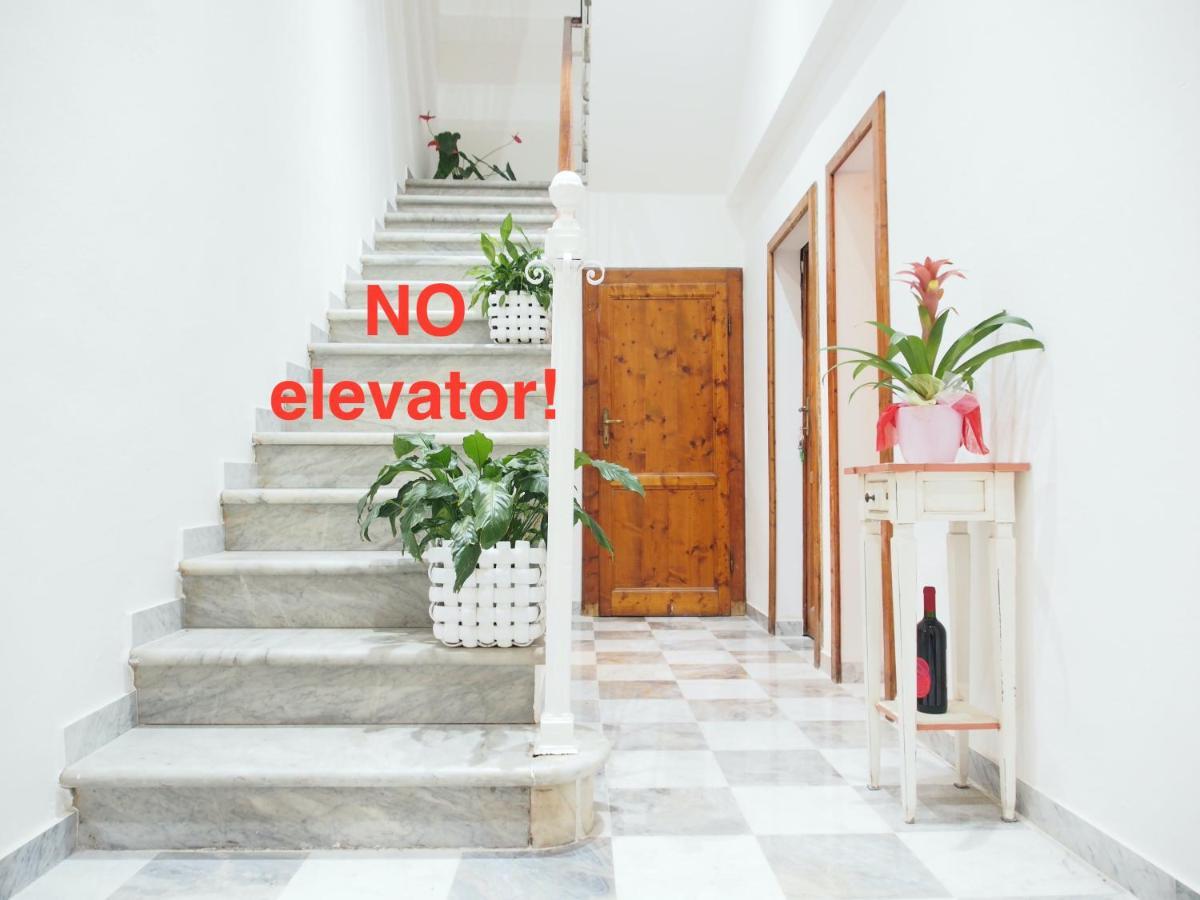 Eco Pisa Tower Guesthouse Exteriér fotografie